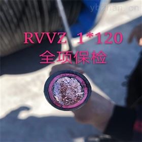 RVVZ阻燃电源线1*185mm2价格