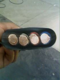 扁电缆YFFB-500V-3*10+1*6MM2