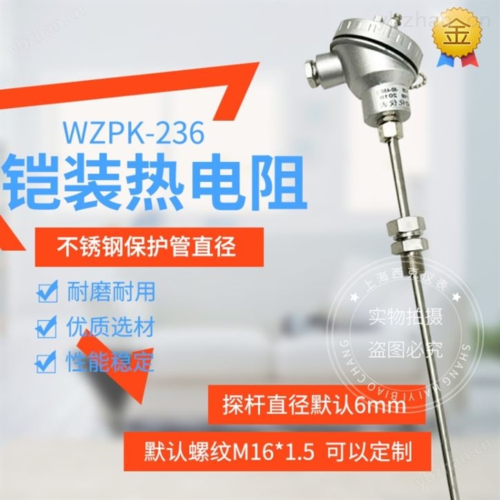 WZPK系列熱電阻-鎧裝熱電阻