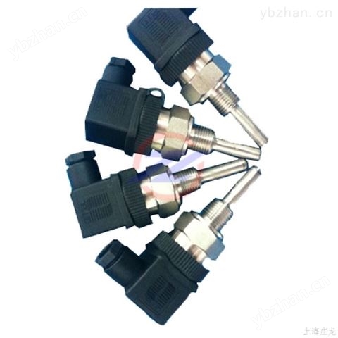 莊龍PT100熱電偶