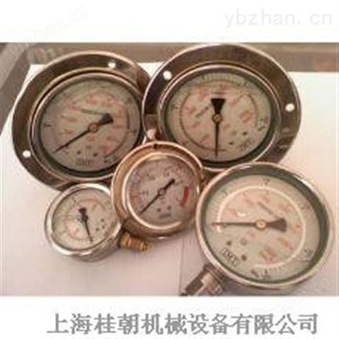 超高壓耐震壓力表