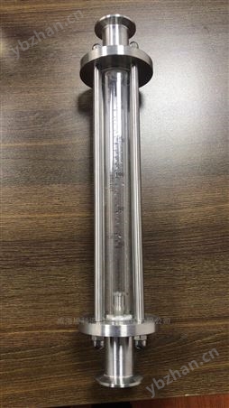 山东饮用纯净水卡箍浮子流量计*