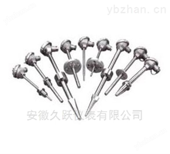 綜合型熱套式熱電偶WRN2-01T_WRNR2-01廠家